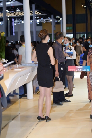 端庄的黑裙礼仪美女