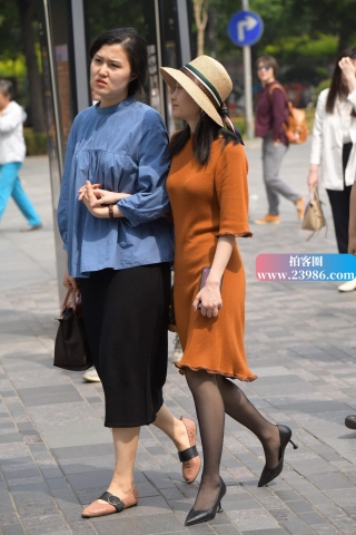 街拍棕色群黑丝高跟美姐
