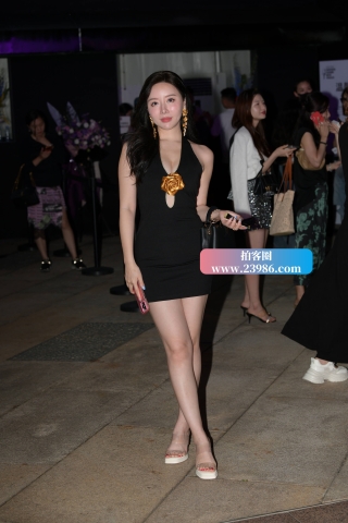 黑色裙性感美腿靓女 【第二篇】