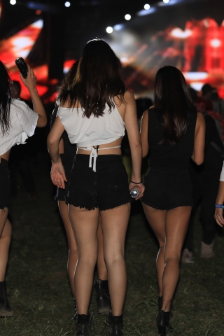 【凯恩赛贴】争奇斗艳 躁动的荷尔蒙