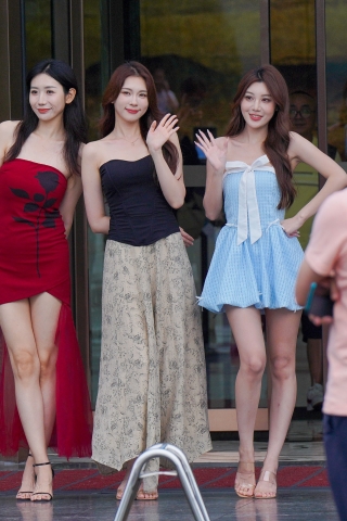 巧笑倩兮 美目盼兮