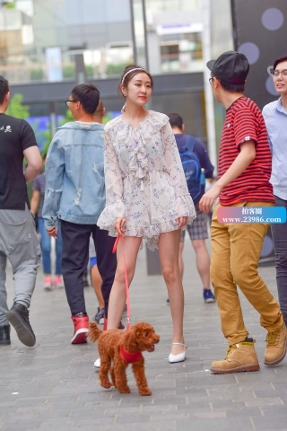 搭讪养泰迪的美女