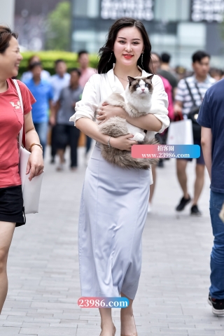 左手倒影赛帖：大气唯美的美女与她可爱的宠猫猫