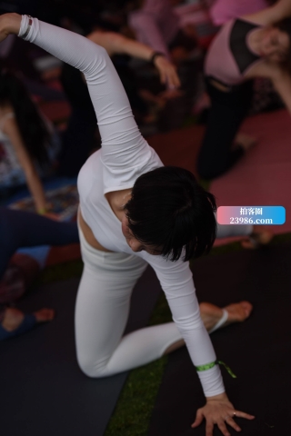 白紧瑜伽套装
