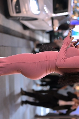 粉色的猫高清视频纯享版