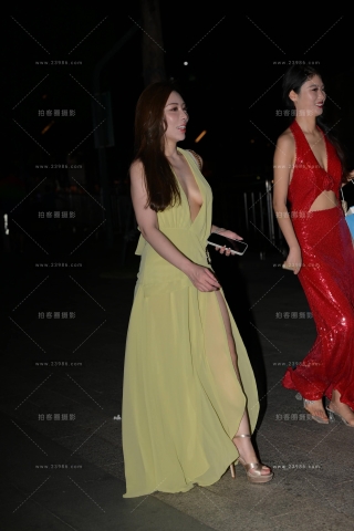 性感深V长裙贵妇